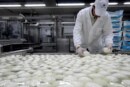 Latte in polvere: Tanasi (CODACONS) protesta e fonda in Sicilia i tuoi comitati “non polverizziamo i latticini”