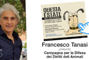 Codacons: “Questa estate non abbandonarlo”