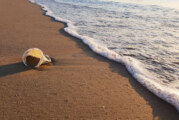 Codacons: crociata di Tanasi che chiede in Sicilia spiagge plastic free