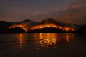 Incendi Codacons denuncia