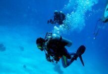 Roma:  il siciliano Francesco Tanasi riconfermato  Presidente Nazionale  dell’AFI (Associazione Nazionale Fotosub d’ Italia) Francesco Tanasi Presidente AFI