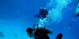 Roma: il siciliano Francesco Tanasi riconfermato Presidente Nazionale dell’AFI (Associazione Nazionale Fotosub d’ Italia) Francesco Tanasi Presidente AFI