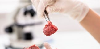 Alimentare, carne in provetta: Codacons e consumatori italiani ricorrono contro UE finanziamenti carne finta