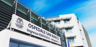 Si spegne il piccolo Domenico Bandieramonte, ucciso da un batterio intestinale piccolo ucciso batterio