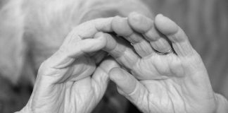 Operazione “Giardino oscuro” comunità degli orrori a Palermo Giardino oscuro comunità