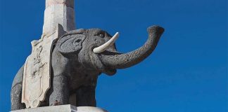 Catania: Codacons e i “Ribelli rompiscatole” lanciano i “cacciatori di consensi” cacciatori di consensi