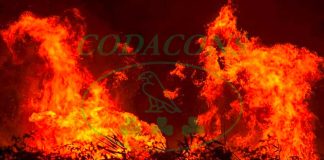 Incendi: esposto del Codacons alle nove procure siciliane per la verifica di omissioni e responsabilità Incendi territorio siciliano