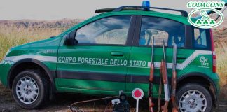 Schifani, annullato concorso forestali in Sicilia concorso forestali annullato