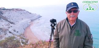 Catania: l’avv. e giornalista Nanfitò nominato Direttore del Dipartimento Regionale Porti e Trasporti Marittimi Codacons Nomina Roberto Nanfitò