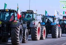 Palermo: Codacons Sicilia, Consambiente e Confeuropa accanto ai trattori scendono in campo protesta di San Valentino