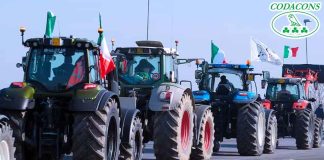 Palermo: Codacons Sicilia, Consambiente e Confeuropa accanto ai trattori scendono in campo protesta di San Valentino