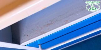 Catania: il Codacons lancia il concorso a premi “dalla foto del comodino sudicio indovina qual è l’ospedale” iniziativa Codacons