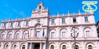 Codacons e Unicodacons scendono in campo per l’elezione del nuovo rettore dell’Università di Catania elezione nuovo rettore