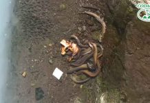 Catania: liquami al porto e alla Playa a seguito di sversamento rifiuti nel canale Arci presso la zona industriale Liquami Playa di Catania