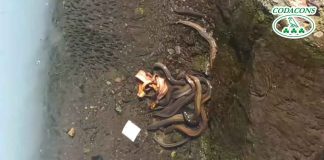 Catania: liquami al porto e alla Playa a seguito di sversamento rifiuti nel canale Arci presso la zona industriale Liquami Playa di Catania