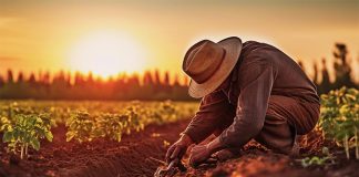 Sicilia: divieto lavoro in giorni con alte temperature. Codacons: bene ordinanza, ma massima vigilanza su rispetto diritti dei lavoratori divieto lavoro nei giorni più caldi