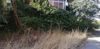 San Giovanni La Punta: Codacons diffida il sindaco, chiesto intervento su via G. Falcone Segnalazioni via Falcone