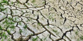 Crisi idrica in Sicilia Crisi idrica in Sicilia