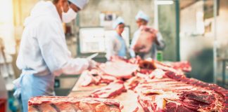 Codacons: esposto alle 9 Procure siciliane per eseguire controlli a seguito di quanto emerso sulle macellazioni clandestine macellazioni clandestine