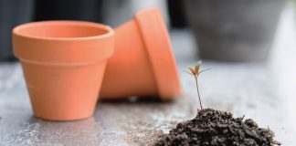Cenere vulcanica come risorsa e non come rifiuto Cenere vulcanica risorsa