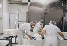 Caseificio abusivo a Catania: un attentato alla salute pubblica Caseificio abusivo