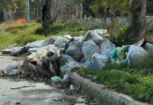 Siracusa: il Codacons chiede misure drastiche all’amministrazione per contrastare il fenomeno dell’abbandono dei rifiuti ai bordi delle strade abbandono dei rifiuti