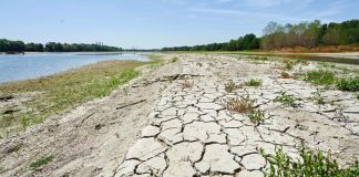 Sicilia in balia delle emergenze: Codacons chiede un piano straordinario di protezione civile Emergenze in Sicilia