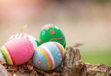 Pasqua 2025: gli auguri del Codacons ai cittadini siciliani pasqua 2025