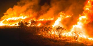 Incendi, Codacons: quadro allarmante, servono misure straordinarie e un piano regionale concreto contro il rischio roghi Emergenza incendi Sicilia