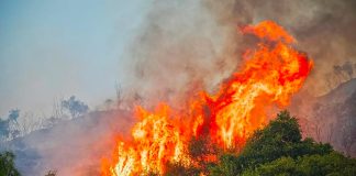 Incendi da Agrigento al Parco di Morgantina