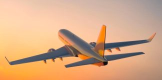 Aerei: da liquidi a documenti ai cani in cabina, ecco tutte le novità dell’estate 2025 e quelle in arrivo nei prossimi mesi Novità voli 2025