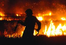 Emergenza incendi: sul tavolo di Meloni, Pichetto Fratin e Musumeci l’istanza del Codacons di Commissariamento della Sicilia emergenza incendi