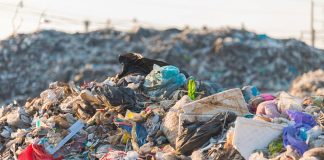 A Siracusa viene sequestrata l’ennesima discarica abusiva e continua l’abbandono di sacchi ai bordi di alcune strade Lotta rifiuti