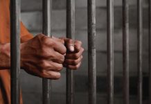 Garante dei detenuti: Schifani esclude Tanasi e nomina De Lisi Garante dei detenuti