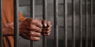 Garante dei detenuti: Schifani esclude Tanasi e nomina De Lisi Garante dei detenuti