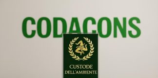 Premio a Schifani, il Codacons denuncia l’autocelebrazione in una Sicilia in piena emergenza ambientale Codacons contro premio ambiente Sicilia