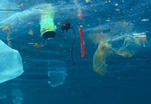 Plastiche nei mari, Codacons: attuare pienamente la legge “salva mare” legge salva mare