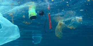 Plastiche nei mari, Codacons: attuare pienamente la legge “salva mare” legge salva mare