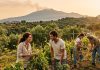 La terra come strumento di inclusione per i giovani fragili, l’appello di Tanasi Giovani e agricoltura