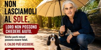 Francesco Tanasi lancia un’estate all’ombra, mai nell’indifferenza animali e caldo estivo