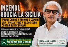 incendi, brucia la Sicilia Incendi dolosi