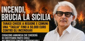 incendi, brucia la Sicilia Incendi dolosi