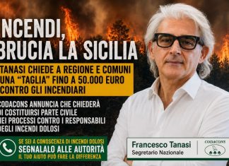 incendi, brucia la Sicilia Incendi dolosi