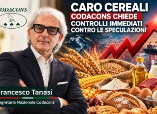 Prezzi record dei cereali, Codacons lancia l’allarme rincari rincari prodotti alimentari