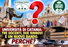 Incarichi università catania