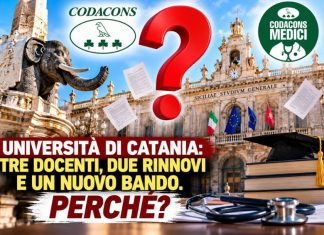 Incarichi università catania